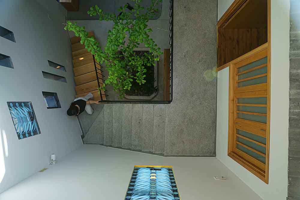 Read more about the article Daisy House | IZ Architects