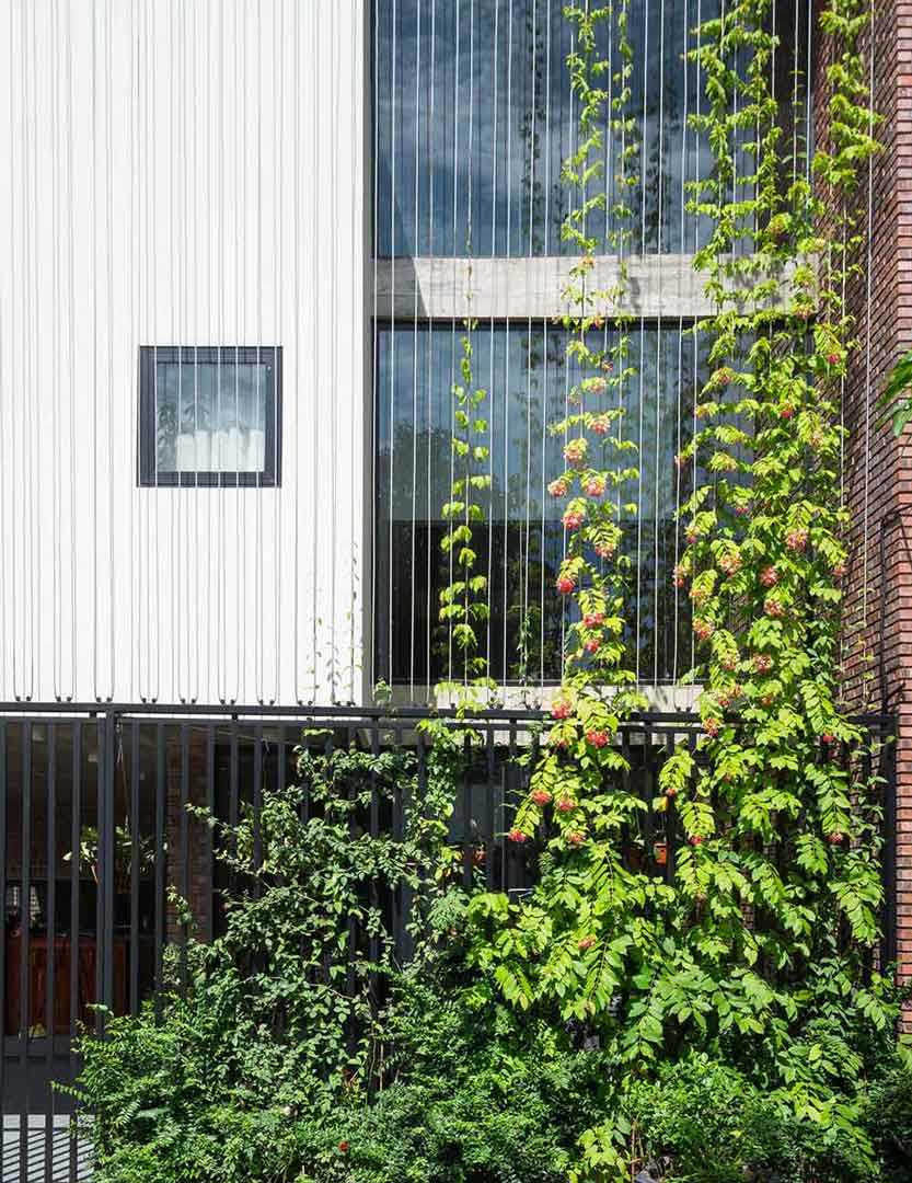 Read more about the article V3 House | TNT Architects