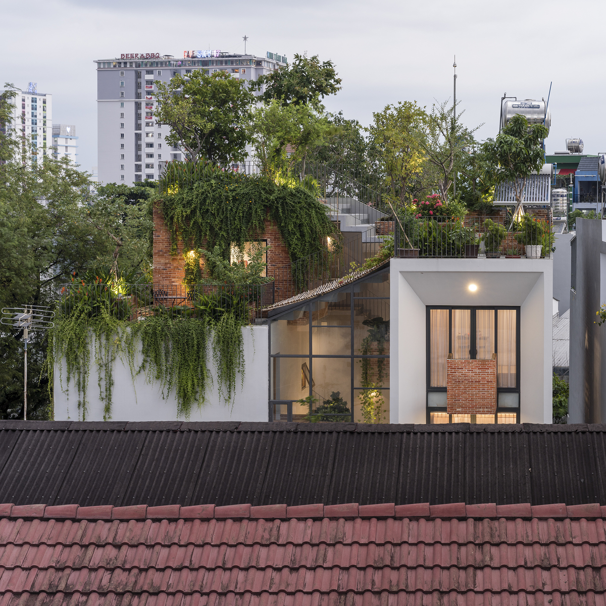 Read more about the article Park roof House I MDA Architecture