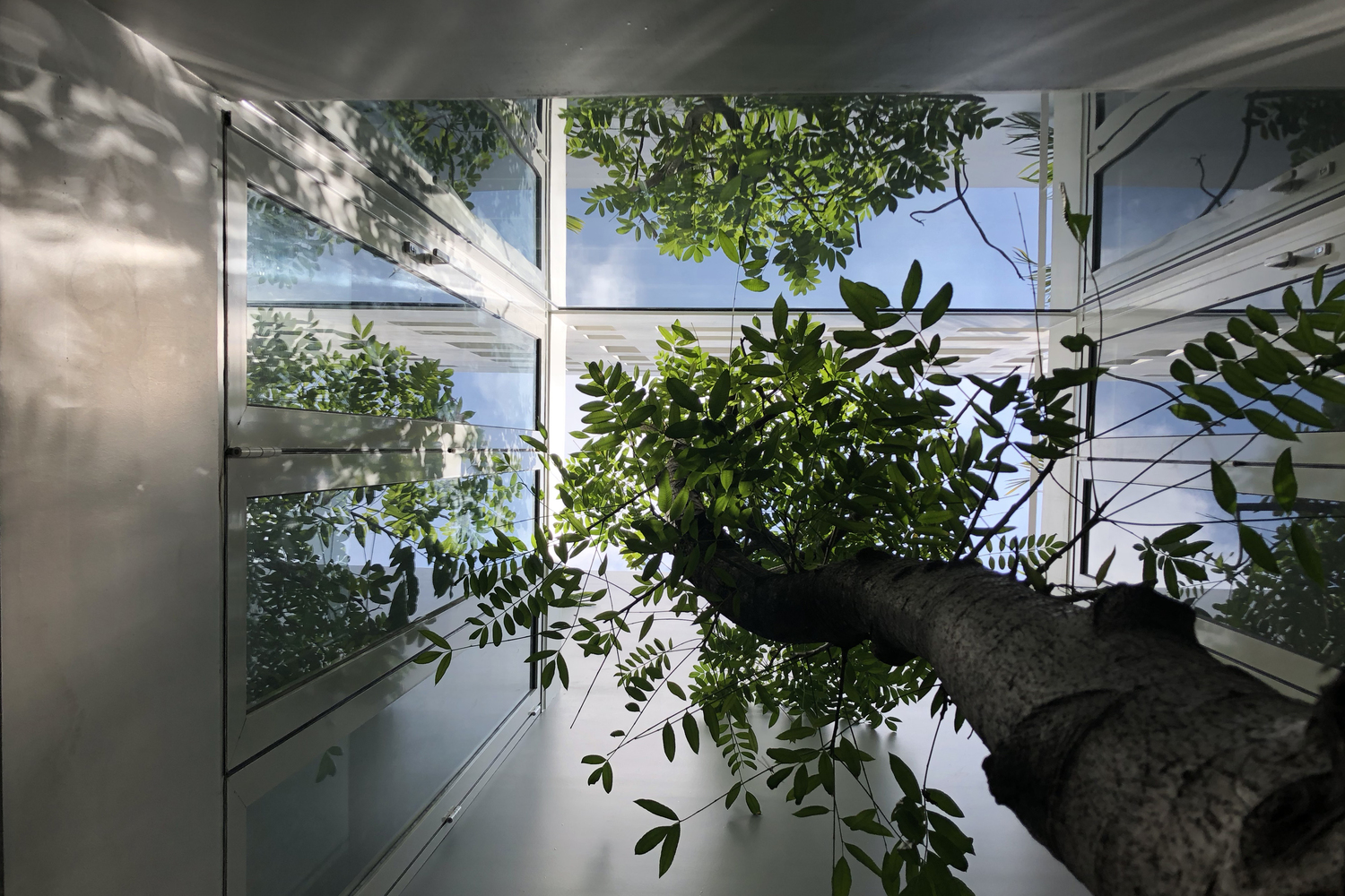 Read more about the article Natural breeze & lighting symphony | MW archstudio