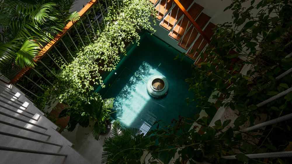 You are currently viewing Nhà Vườn Bậc Thang | Chơn.a