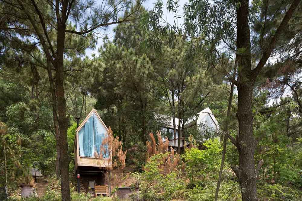 Read more about the article Nhà trong rừng 02 | D12 Design