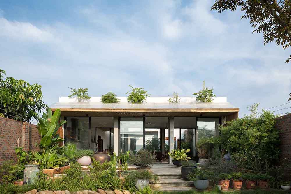 Read more about the article Dế House | 365 Design
