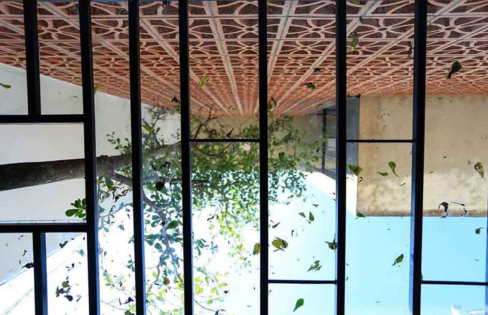 Read more about the article Nhà ở Thủ Đức 50m2 I G+ Architects