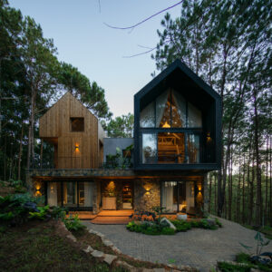 Read more about the article Villa of the Star | APS Concept