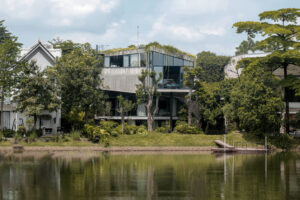 Read more about the article The Hill – B129 | OKO Architects