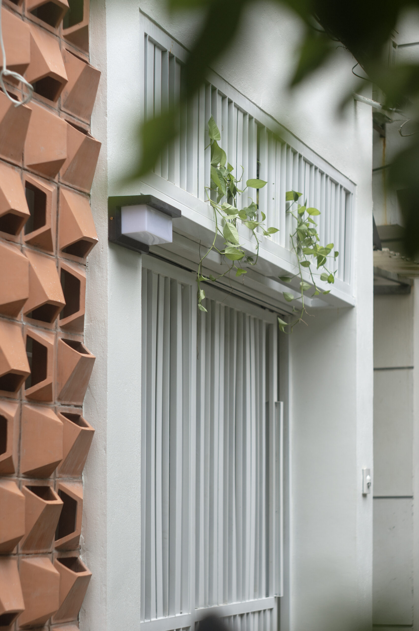 Read more about the article Dứa House | D2architects