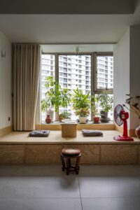 Read more about the article The Peak | ShapeUs Studio