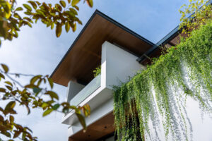 Read more about the article Vtrop.03 House  | Vo+ Architect