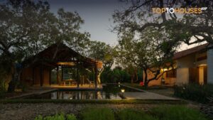 Read more about the article NHÀ VƯỜN ĐIỀU | G+Architects