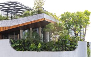 Read more about the article LYM SPACE |PAK ARCHITECTS