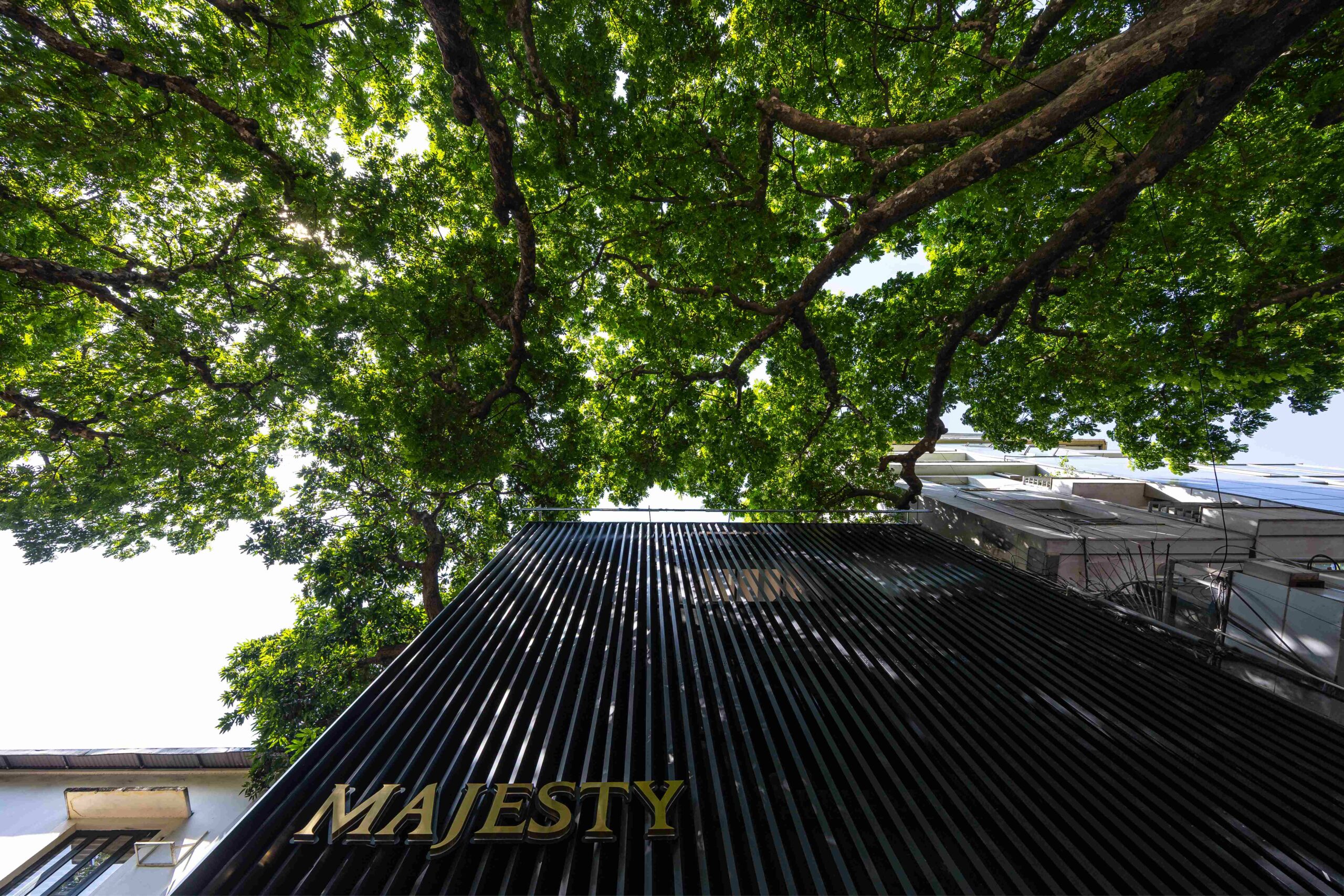 Read more about the article MAJESTY GOLF FLAGSHIP STORE | STD DESIGN CONSULTANT