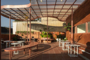 Read more about the article HỒNG TRÀ HOÀ BÌNH | XƯỞNG XÉP